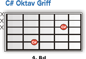 C# Oktav Griff